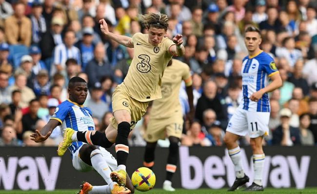 哥哥影院