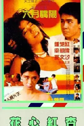 黄色的网站免费在线观看